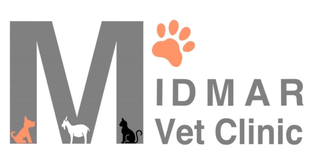 WhatsApp Image 2025-10-08 at 08.34.39