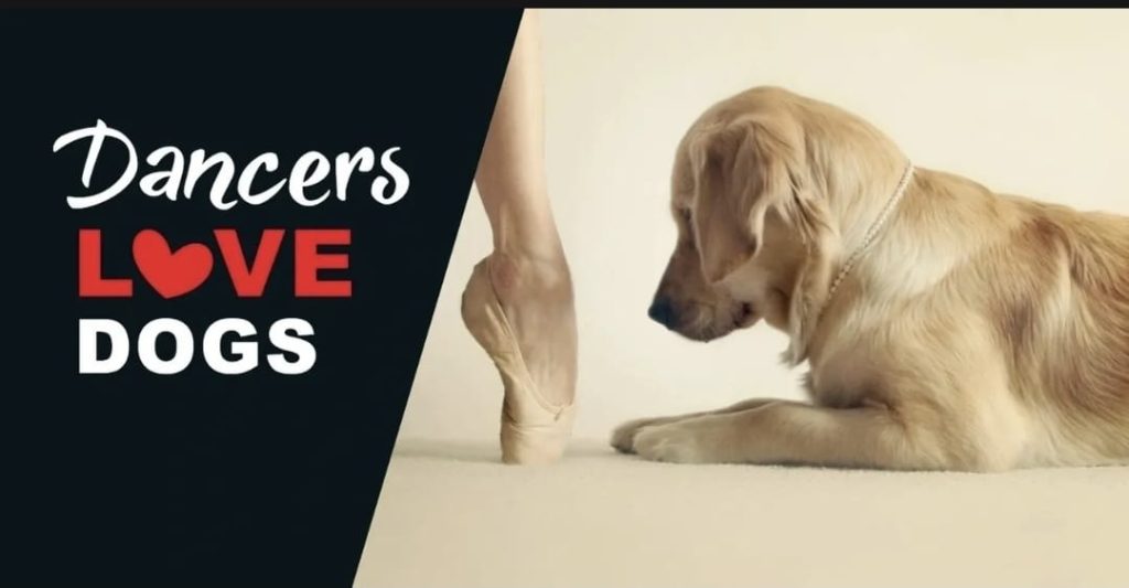 WhatsApp Image 2025-10-08 at 09.50.39 (1)